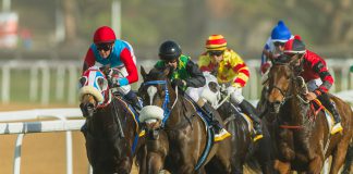 BHA temporarily halts UK horseracing following equine influenza outbreak