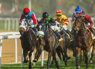 Betway strengthens Irish presence with Cork Racecourse sponsorship