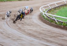 Steel City Cup signs BresBet as title sponsor