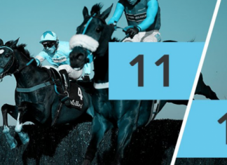 BetVictor commences search for new face of racing
