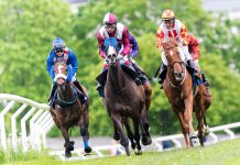 BetMakers collaborates with Betgenius to deliver racing content