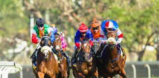 Horseracing returns with stricter biosecurity controls following equine influenza outbreak