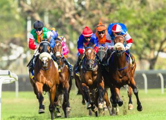 Horseracing returns with stricter biosecurity controls following equine influenza outbreak