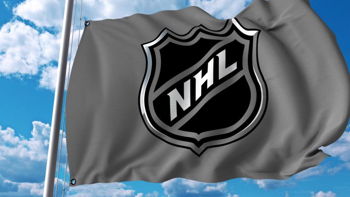 NHL Logo on flag