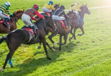 Flutter unites with ARC, TRP and ATR to deepen racing engagement