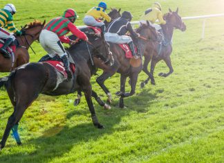 Southwell to be first European racecourse to utilise LED technology