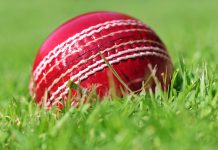 Regulatory confusion reigns over the IPL’s partnership with Dream11