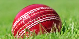 USA Cricket closes in on T20 league following ACE partnership