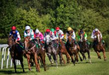 DCMS levy review receives positive response from BHA