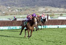 Newcastle confirms hurdle course amendments ahead of jumps season
