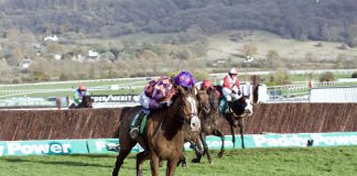 ARC grows European footprint with Ladbrokes Belgium deal