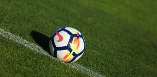 The Transfer Window: The FA, Feyenoord and The BHA