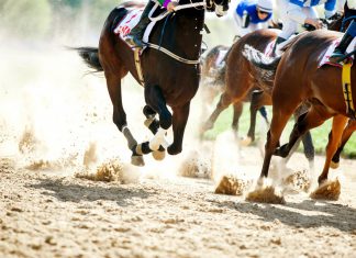 Cabinet reshuffle sees Pow take control of horse racing strategy