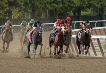 ATR unveils turnover based streaming and data deal with Betfred