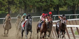 ATR unveils turnover based streaming and data deal with Betfred