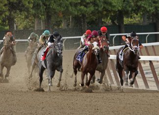 ATR unveils turnover based streaming and data deal with Betfred