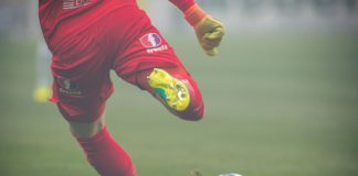 Svenska Spel backs government plans for betting crack down