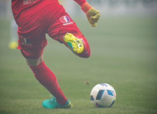 Svenska Spel backs government plans for betting crack down