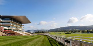 Cheltenham Festival and March sporting events face COVID criticism