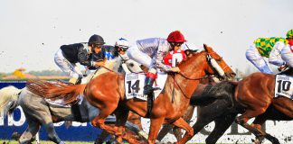 SIS renews Dubai Racing Club media rights deal