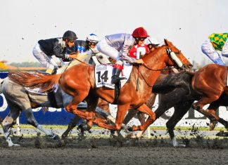 SIS renews Dubai Racing Club media rights deal