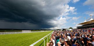 BHA bans 11 individuals following Goodwood brawl