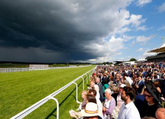 BHA bans 11 individuals following Goodwood brawl