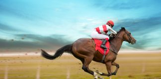 Horse Racing Ireland could offload Tote to third parties