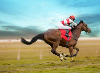 Horse Racing Ireland could offload Tote to third parties
