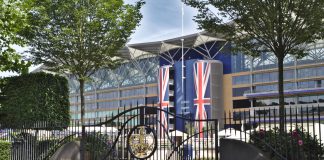 Ascot pens marketing agreement with HBA Media