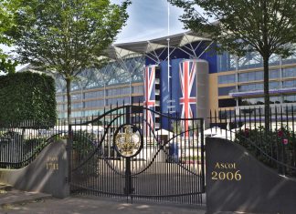 Ascot pens marketing agreement with HBA Media