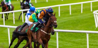 HRI figures show growth to racing sponsorship in 2019