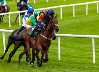 HRI figures show growth to racing sponsorship in 2019