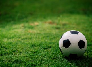 Hamilton boss given 10 match ban following gambling breaches