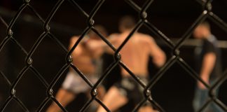 French Ministry tasks boxing federation with governing MMA