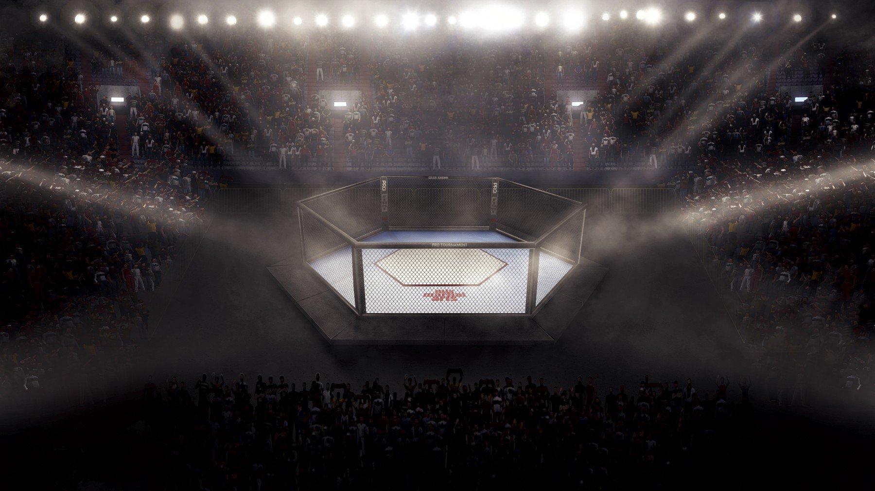 Арена UFC трибуна