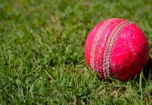 STATSCORE enhances ScoutsFeed offering with IPL