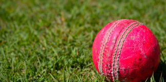 STATSCORE enhances ScoutsFeed offering with IPL