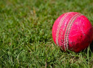 STATSCORE enhances ScoutsFeed offering with IPL