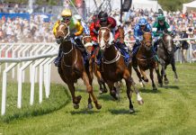 Horseracing Bettors Forum launches 2020 survey on racing fixtures