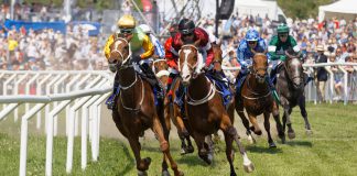 Horseracing Bettors Forum launches 2020 survey on racing fixtures