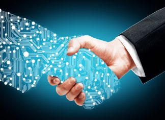 Sportradar secures multi-year data partnership with The Action Network