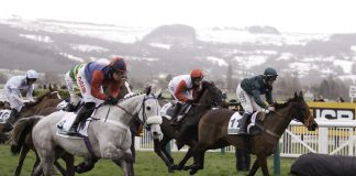 Cornelius Lysaght chosen as Fitzdares’ new racing ambassador