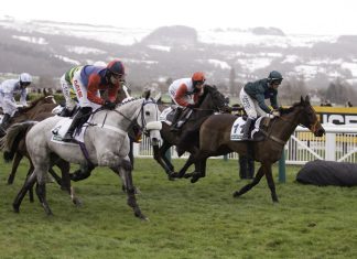 Cornelius Lysaght chosen as Fitzdares’ new racing ambassador