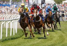 HRI confirms June racing restart