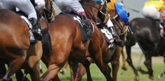 Racing APPG: It was a ‘difficult but correct decision to suspend racing’