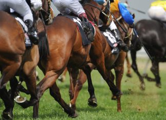 Racing APPG: It was a ‘difficult but correct decision to suspend racing’
