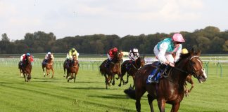 BHA releases new measures as June resumption nears