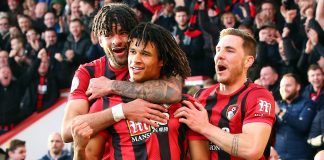 Bournemouth Finds MM8 replacement with Vitality expansion