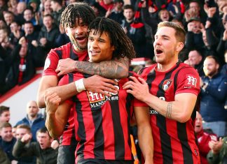 Bournemouth Finds MM8 replacement with Vitality expansion
